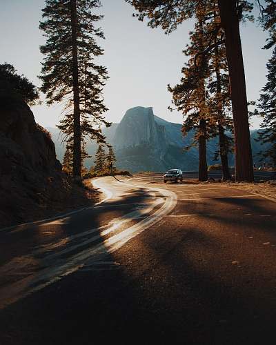 dirt road car on curve road surrounded by trees gravel